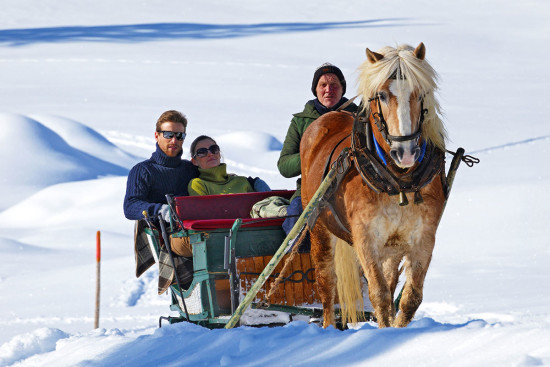 Pferdeschlittenfahrten - Winterurlaub - Radstadt - Ferienwohnung - Zeitgenuss - Salzburger Land